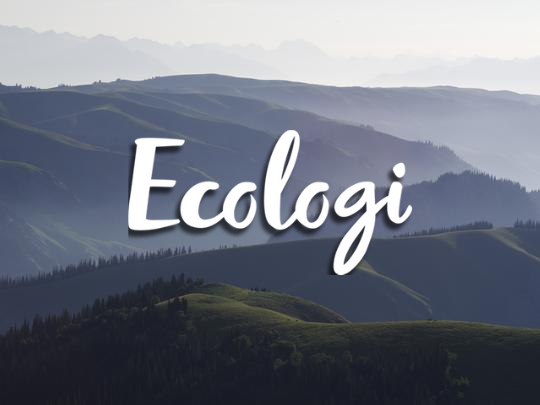 Ecologi
