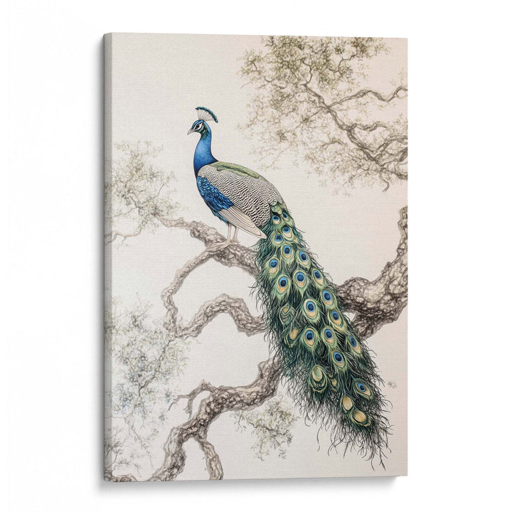 Elegant Peacock Print Wall Art Moncasso