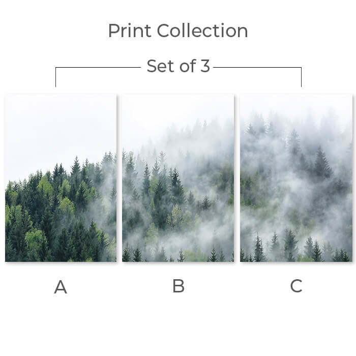Nordic Forest Set of 3 Prints Wall Art Moncasso