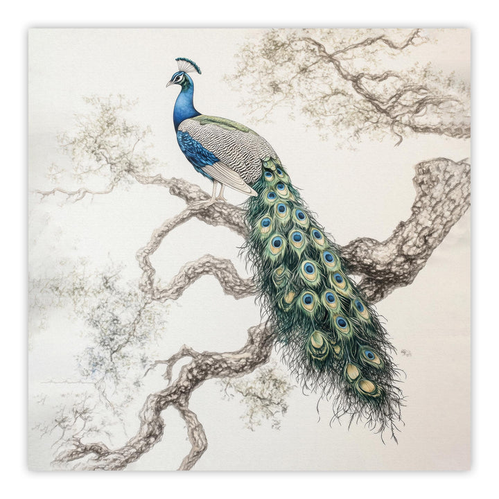 Elegant Peacock Square Print Wall Art Moncasso