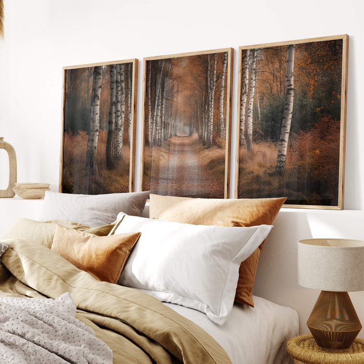 Forest Trail Set of 3 Prints Wall Art Moncasso