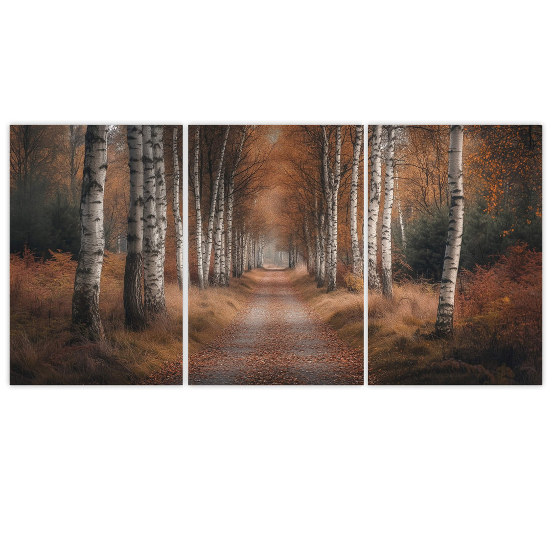 Forest Trail Set of 3 Prints Wall Art Moncasso