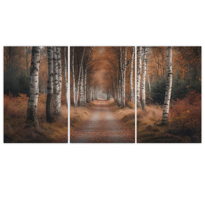 Forest Trail Set of 3 Prints Wall Art Moncasso