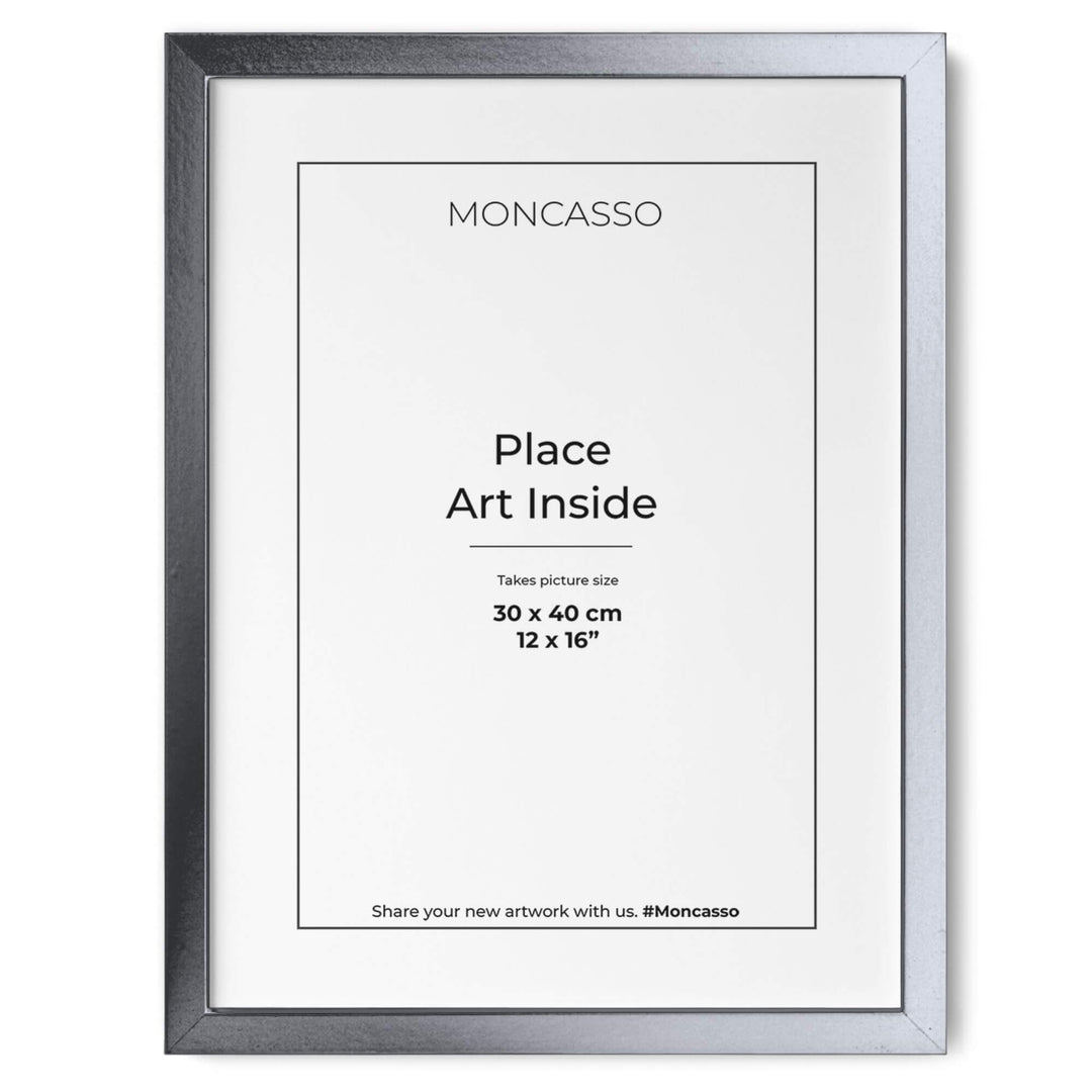 Silver Fine Art Frame, 12" x 16" in Frame Moncasso