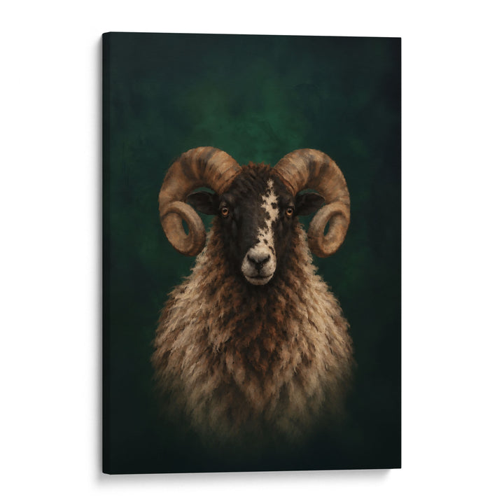 Highland Ram Print