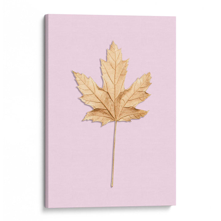 Blush Maple Print