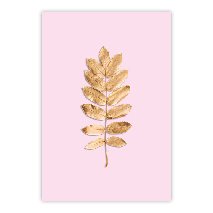 Blush Rowan Print