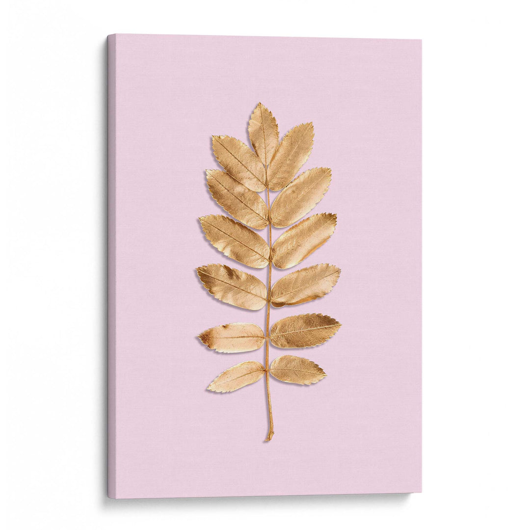 Blush Rowan Print