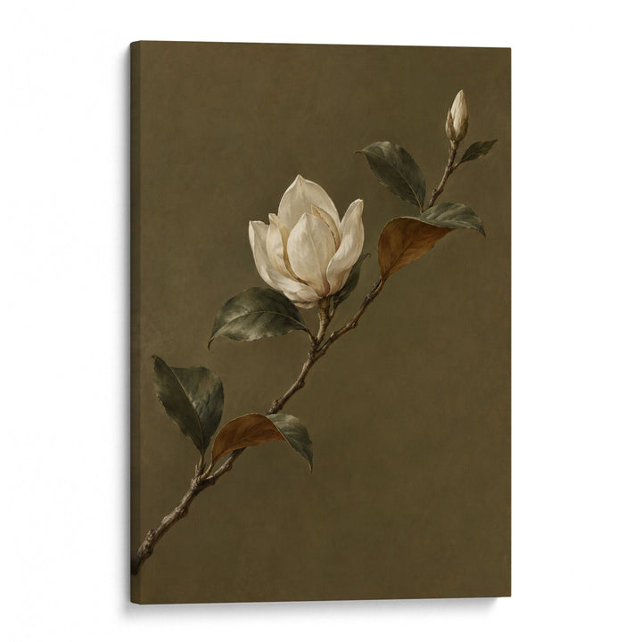 Magnolia Bloom No2 Print Wall Art Moncasso