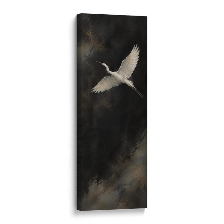 Ascending Wings No. 2, one white bird in flight, Gallery Wrap
